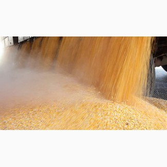 Кукуруза - прямые ЖД поставки в Азебайджан