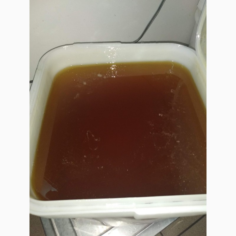 Фото 15. Натуральный мёд оптом от 35 кг