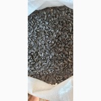 Экспорт зерновых культур Сумгаит