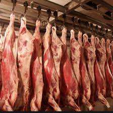 Фото 4. Продам живой скот, мясо заморозка и охлажденное, говядина, телятина, баранина, халяль