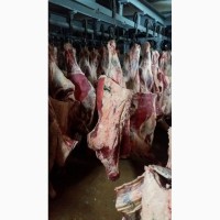 Мясо Говядины на Китай