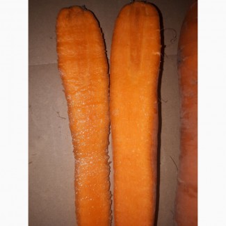Продам морковь оптом, производства РБ