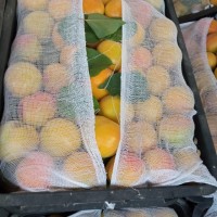 Фото 3. Срочно продам овощи и фрукты от Узбекского производителя
