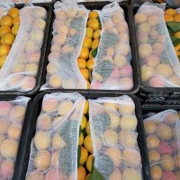 Фото 4. Срочно продам овощи и фрукты от Узбекского производителя
