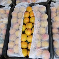 Фото 7. Срочно продам овощи и фрукты от Узбекского производителя