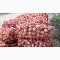 Продам молодой чеснок и другие овощи от производителя с Узбекистана