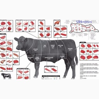 Хотите экспортировать свой продукт В Азербайджан ?