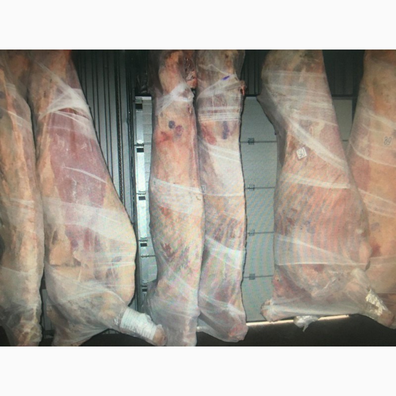 Фото 2. Продам полутуши говядину завернутую в марлю от производителя. С Укранины