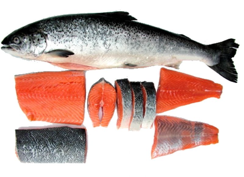 Фото 2. Рыба и Море продукты лосось креветки кальмар