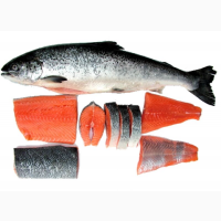 Рыба и Море продукты лосось креветки кальмар