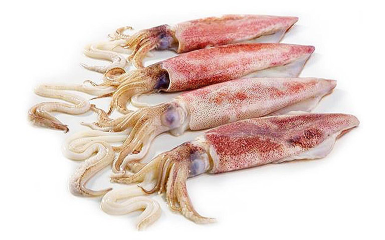 Фото 5. Рыба и Море продукты лосось креветки кальмар