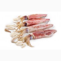Рыба и Море продукты лосось креветки кальмар