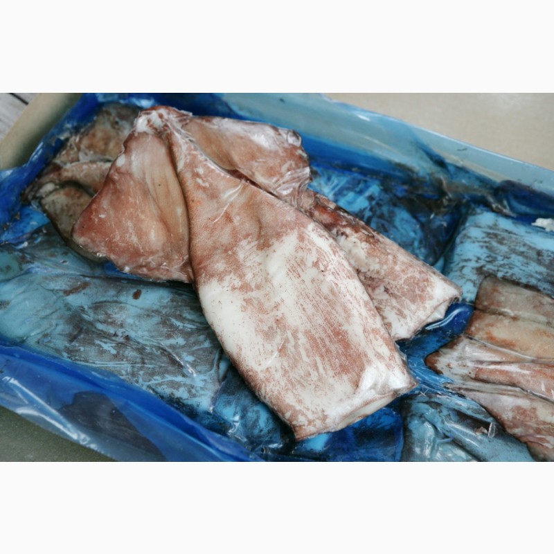 Фото 8. Рыба и Море продукты лосось креветки кальмар